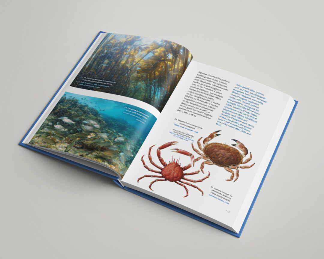 Book Mockup 06