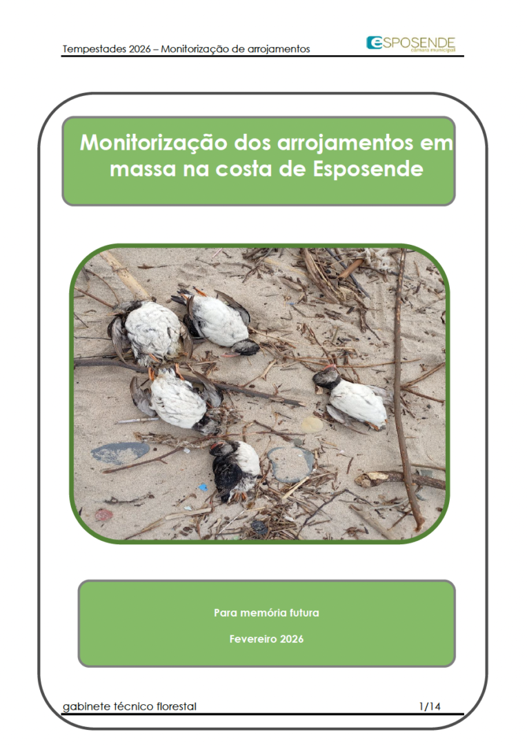 Captura de ecra 2026 03 11 as 14.19.33